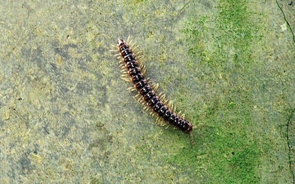 ba50dba24148b2cdaab1e2073dc5fbf5_1723085