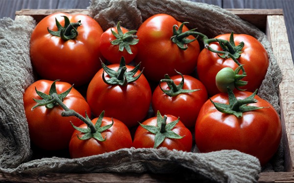 791c5f400e8ef2aee618d186e0232e03_1741242