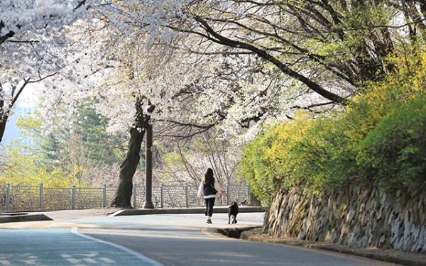 cf90a155a50d2c3bd08c6cbe531cc11c_1743658