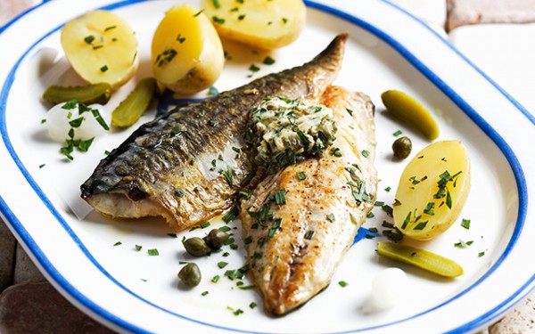 50f1389795fd52c82372bdc17cc9ca6a_1748496