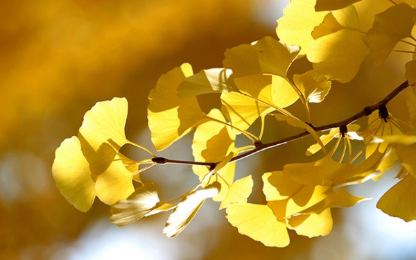 4e85a84a83c7016c333f83e5371a3c31_1750913