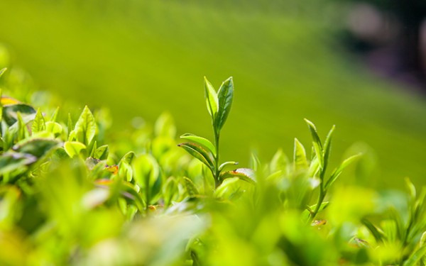 6755cc15122a3f282fa91e4163849130_1752112